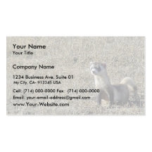 Furet Noir-Aux pieds Cartes De Visite Professionnelles