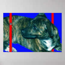 Fureteur 2 affiche