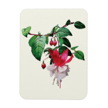 Fuschia rose et blanc magnets en rectangle