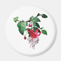 Fuschia rose et blanc magnets pour réfrigérateur