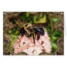 Gaffez la carte de ~ de l'abeille 93f
