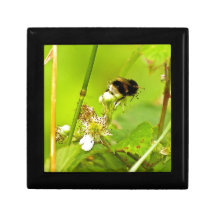 Gaffez l'abeille 8428860.jpg boîte à babioles