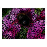 Gaffez l'abeille et les pois doux cartes de vœux