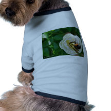 Gaffez l'abeille tee-shirt pour animal domestique