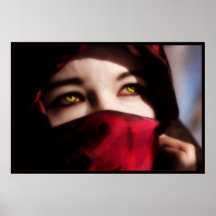 Gaiden Affiches