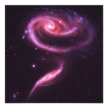 Galaxies de rose de rose photo