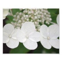 GALERIE 524.jpg de MATHIS Photos D’art