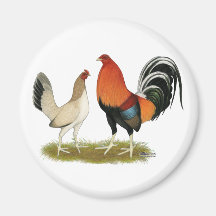 Gamefowl Wheatens Aimant