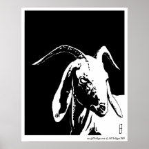 Garçon de chèvre affiche