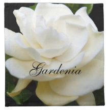 Gardénia 2 blanc pur serviettes