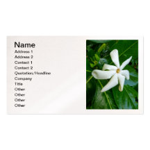 Gardénia de Tahitian Modèle De Carte De Visite