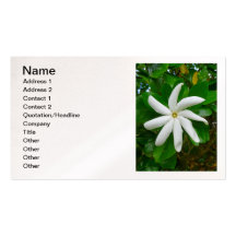 Gardénia de Tahitian Modèles De Cartes De Visite