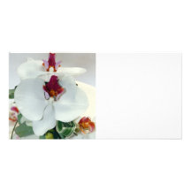 Gâteau de mariage photocarte customisée