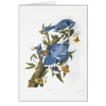 Geai bleu, John James Audubon Carte