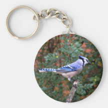 Geai bleu magnifique porte-clef