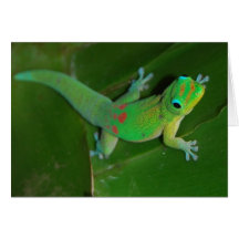 Gecko croisant la nuit carte de vœux