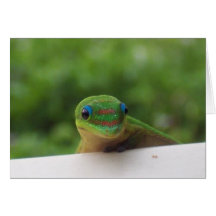 Gecko dans le carte pour notes de tropiques