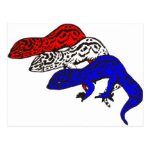 Geckos 01 de patriote carte postale