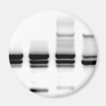 Gel d'ADN Magnets Pour Réfrigérateur