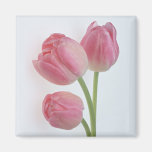 Générosité 9 de jardin magnets