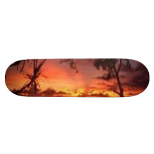 gentil type de vue ! ! ! plateaux de skateboards
