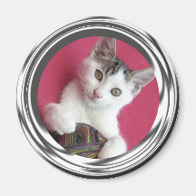 Gentillesse de chaton aimants