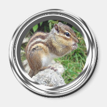Gentillesse de tamia magnets pour réfrigérateur