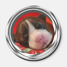 Gentillesse de Terrier Aimants Pour Réfrigérateur