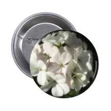 Géraniums blancs 2 badges avec agrafe