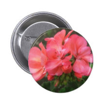Géraniums roses 2 badges