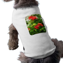 Géraniums rouges lumineux t-shirts pour chien