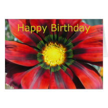 Gerbera Carte De Vœux