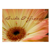 Gerbera d'abricot • Sauvez la mini carte de date Carte De Visite