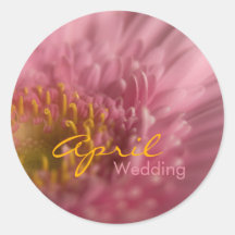 Gerbera rose • Autocollant de mariage d'avril