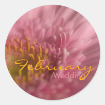 Gerbera rose • Autocollant de mariage de février