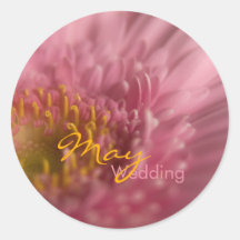 Gerbera rose • Autocollant de mariage de mai