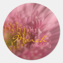 Gerbera rose • Autocollant de mariage de mars
