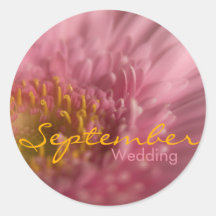 Gerbera rose • Autocollant de mariage de septembre