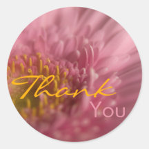 Gerbera rose • Autocollant de Merci