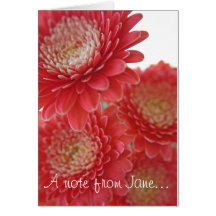 Gerbera rose cartes