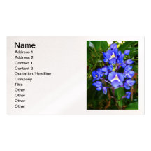Gingembre bleu modèle de carte de visite