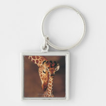 Girafe adulte avec le veau (camelopardalis de Gira Porte-clefs