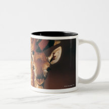 Girafe adulte avec le veau (camelopardalis de Gira Mugs À Café