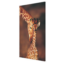 Girafe adulte avec le veau (camelopardalis de Gira Toile Tendue