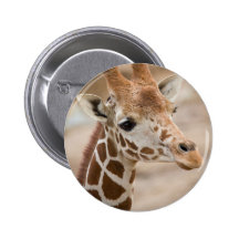 girafe badges avec agrafe