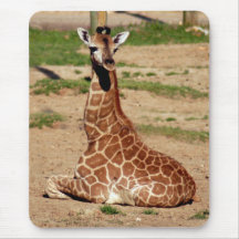 girafe calf-1 tapis de souris
