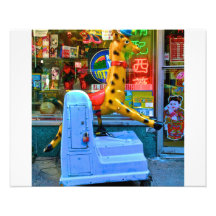 Girafe Chinatown, NYC Photographies