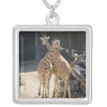 girafe collier