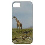 Girafe Coques iPhone 5 Case-Mate