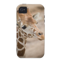 Girafe Coques Vibe iPhone 4